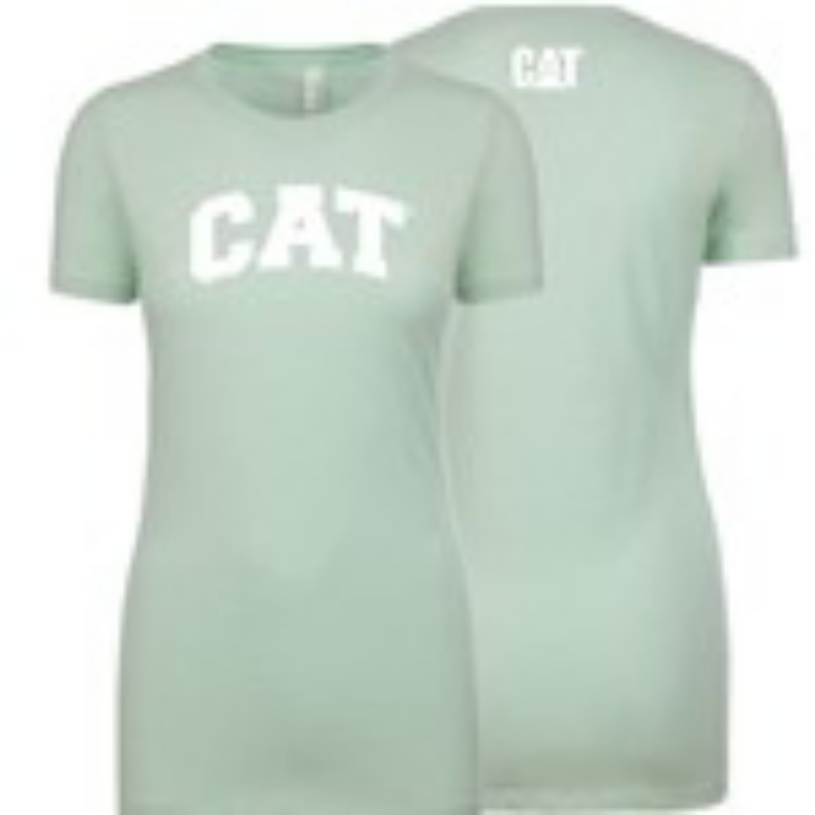 Picture of Mint Ladies Tee