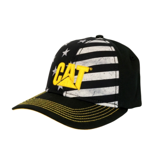 Picture of Sublimated Flag Hat