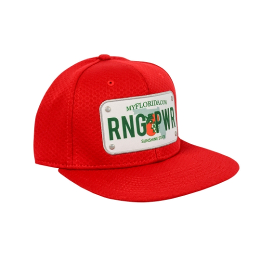 Picture of Ring Power License Hat 